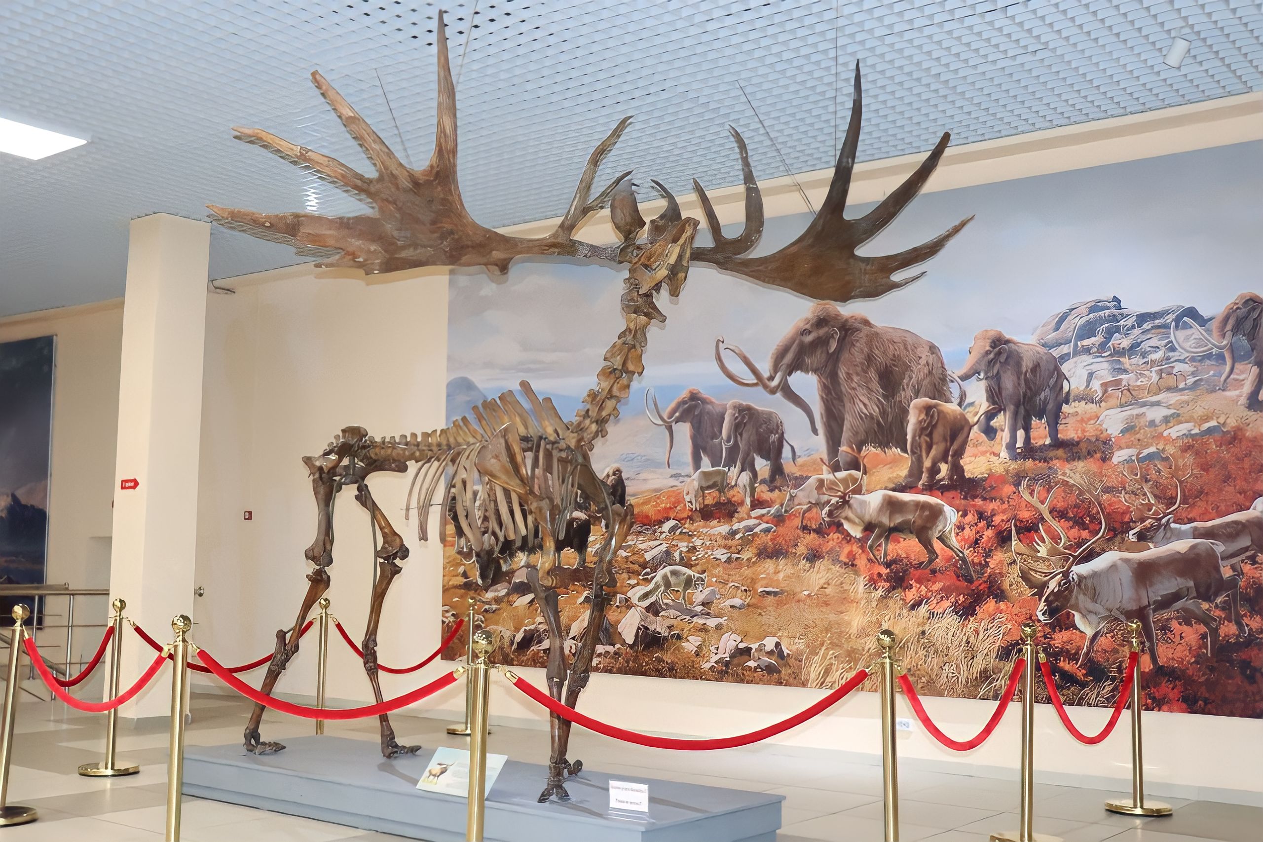 Зілге пара-пар