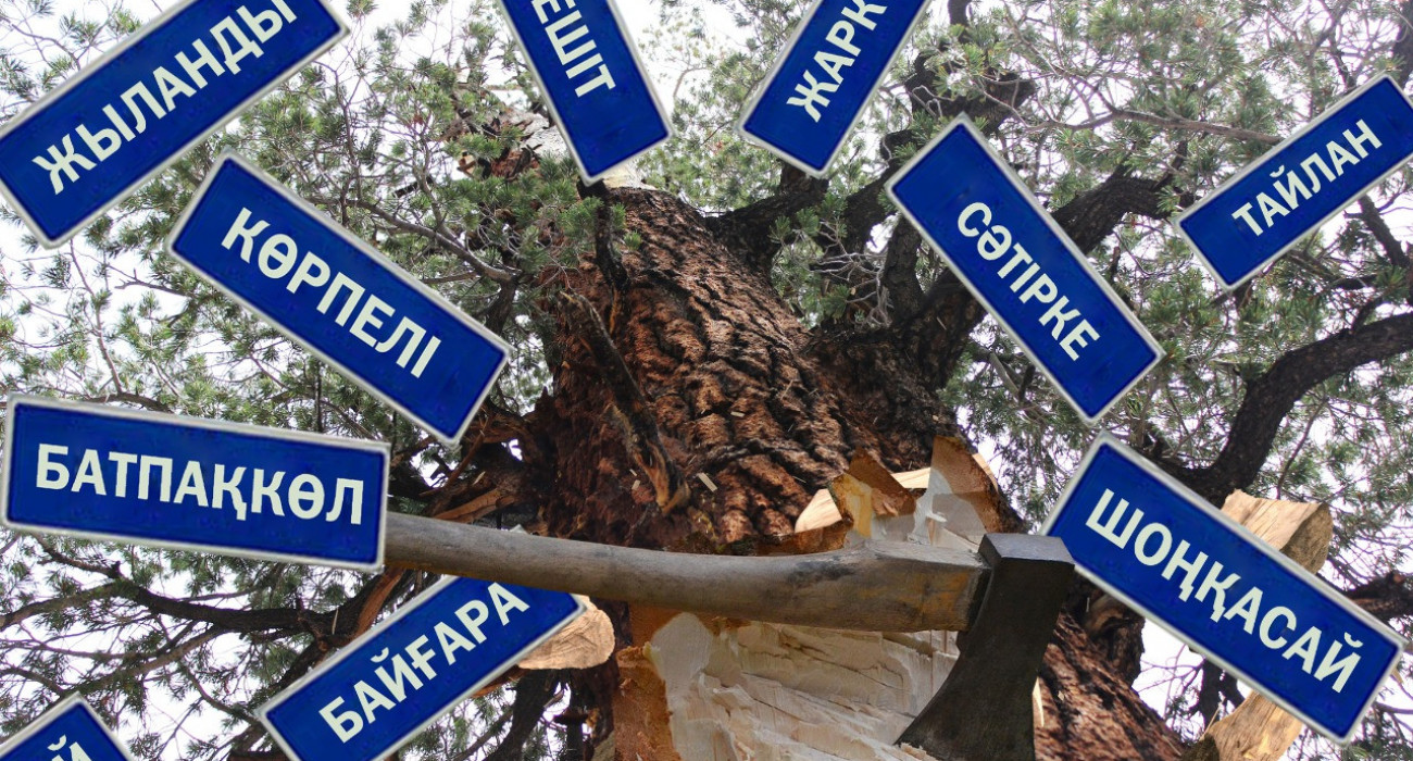 Цитерия сөзін аяқтайды