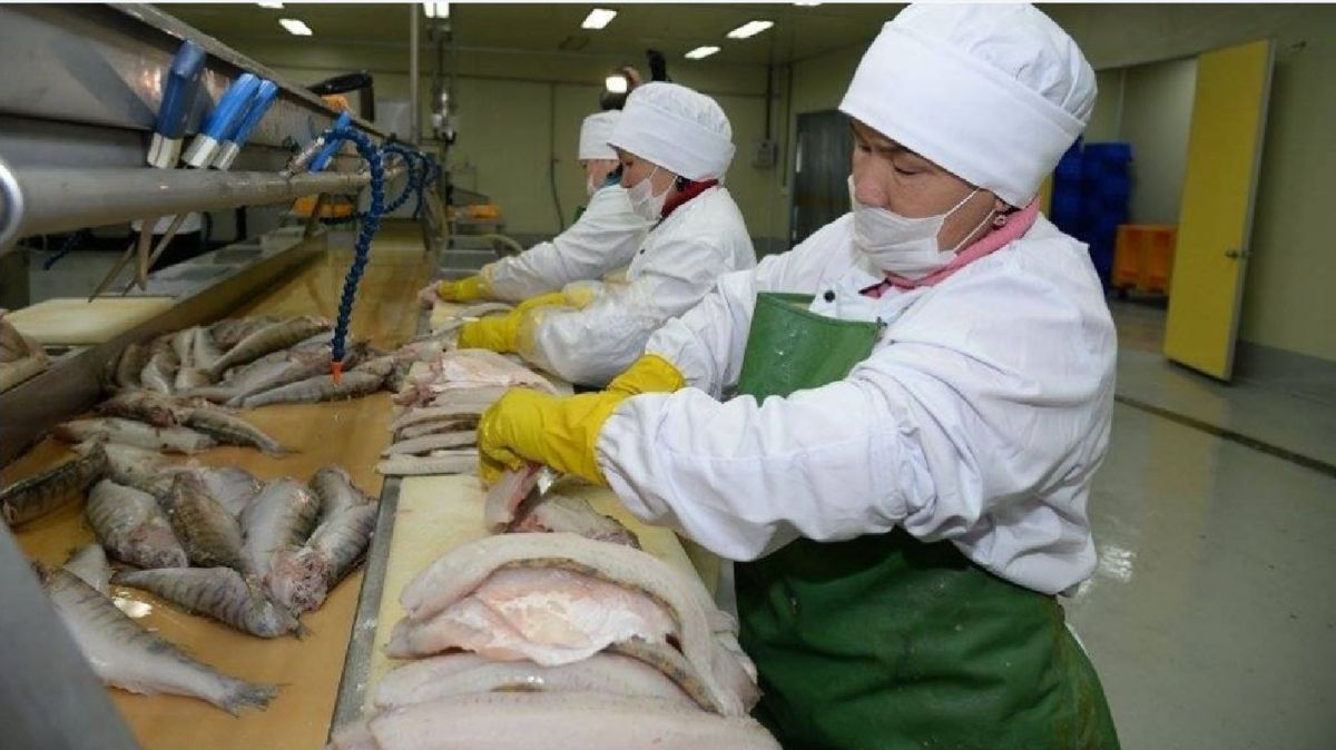 Балық шаруашылығының бары мен жоғы