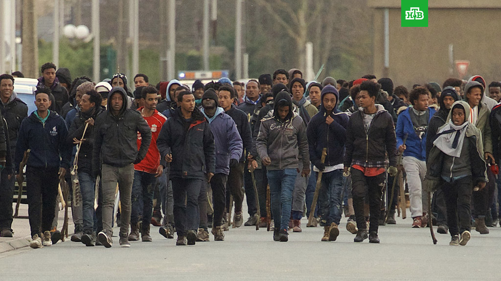 Франция билігі миграциялық заңдарды қайта қарайды