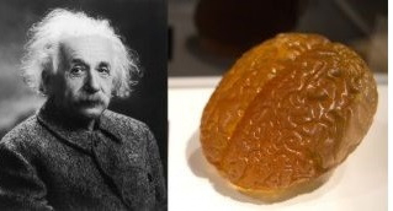 Үлкен бөксесі бар әйелдер порно