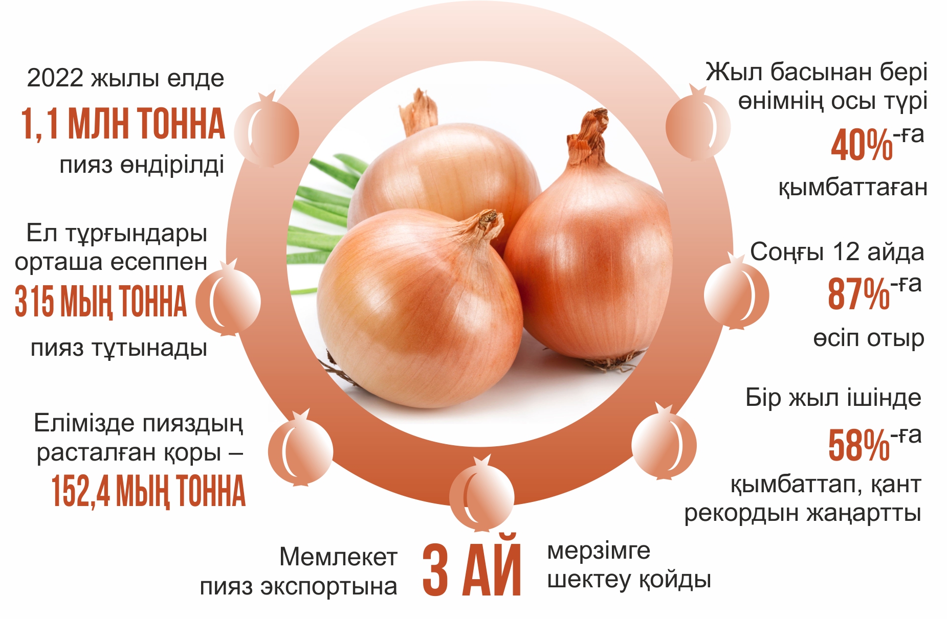 Пияз бағасы неге шарықтады?