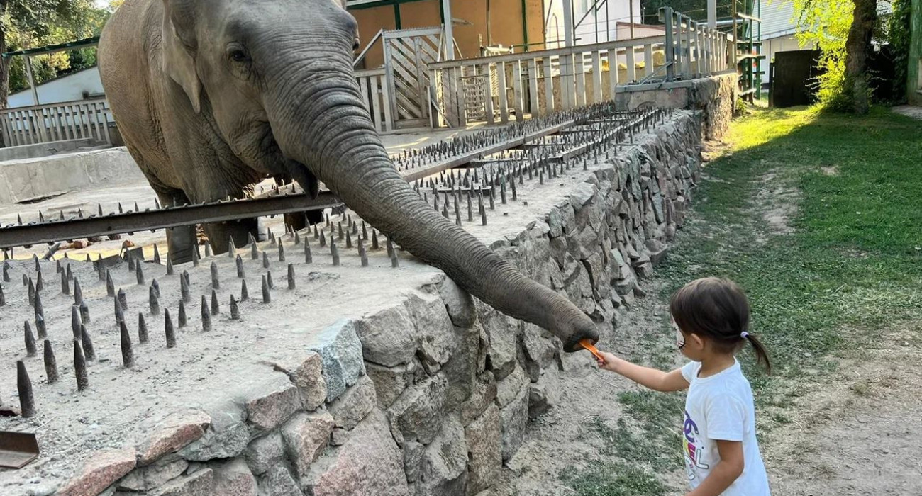 Емізікке жақын түсірілген порно