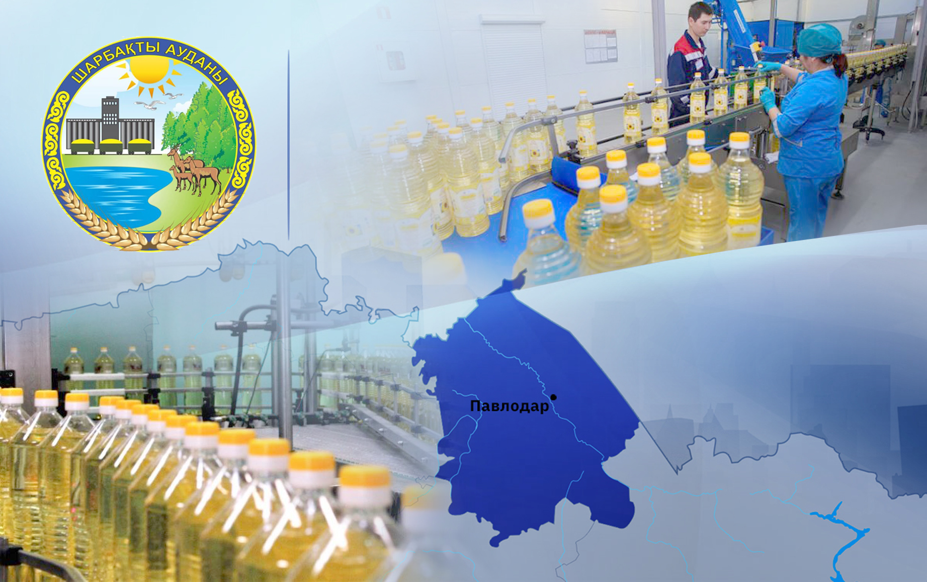 «Айбарыс»: май шығару – пайдалы іс