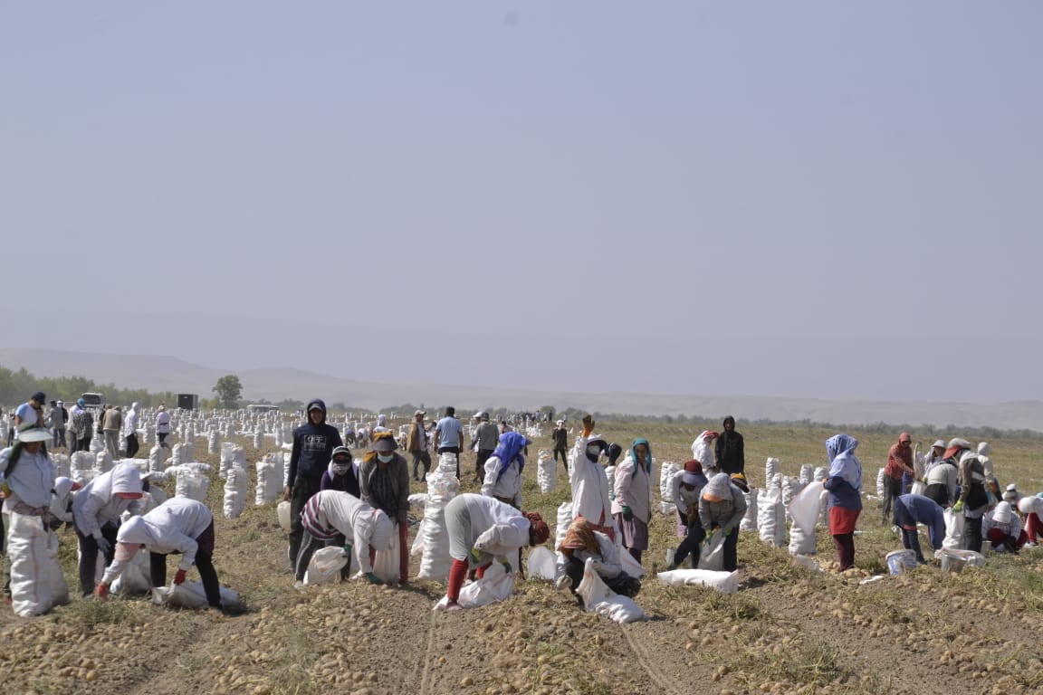 Ел дәулеті – еселі еңбек