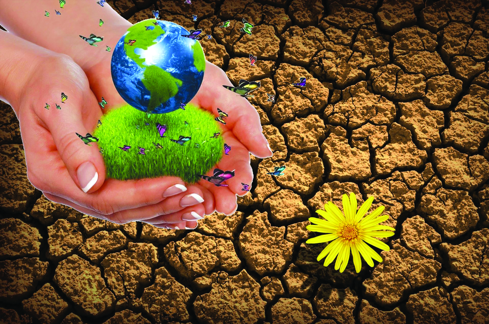 Топырақтан өмір иісі шығады