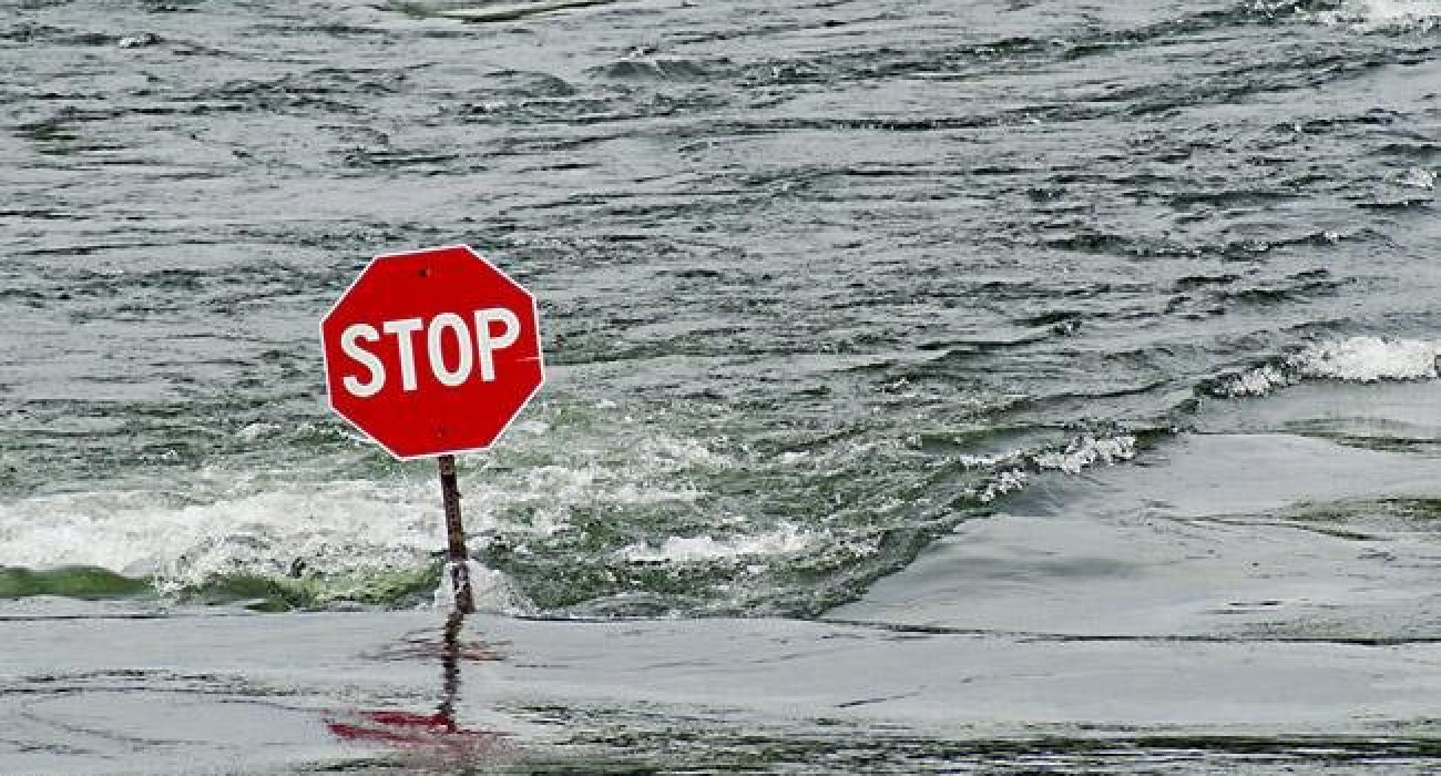 Үлкен клиторы бар киска фотосы Нудистер мен натуристер туралы фильмдер