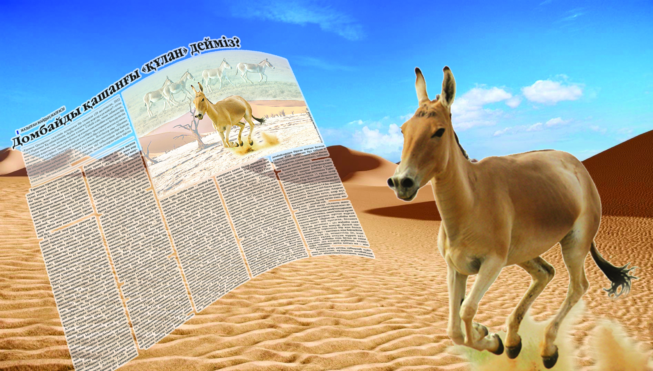 Секс және достық туралы демотивациялық плакаттар