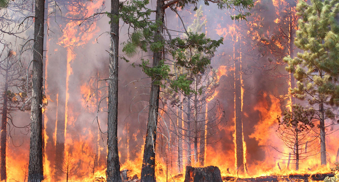 Lagins жыныстық қатынас туралы бейне