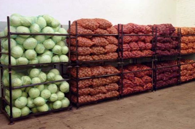 Көкөніс қоймалары көбейеді