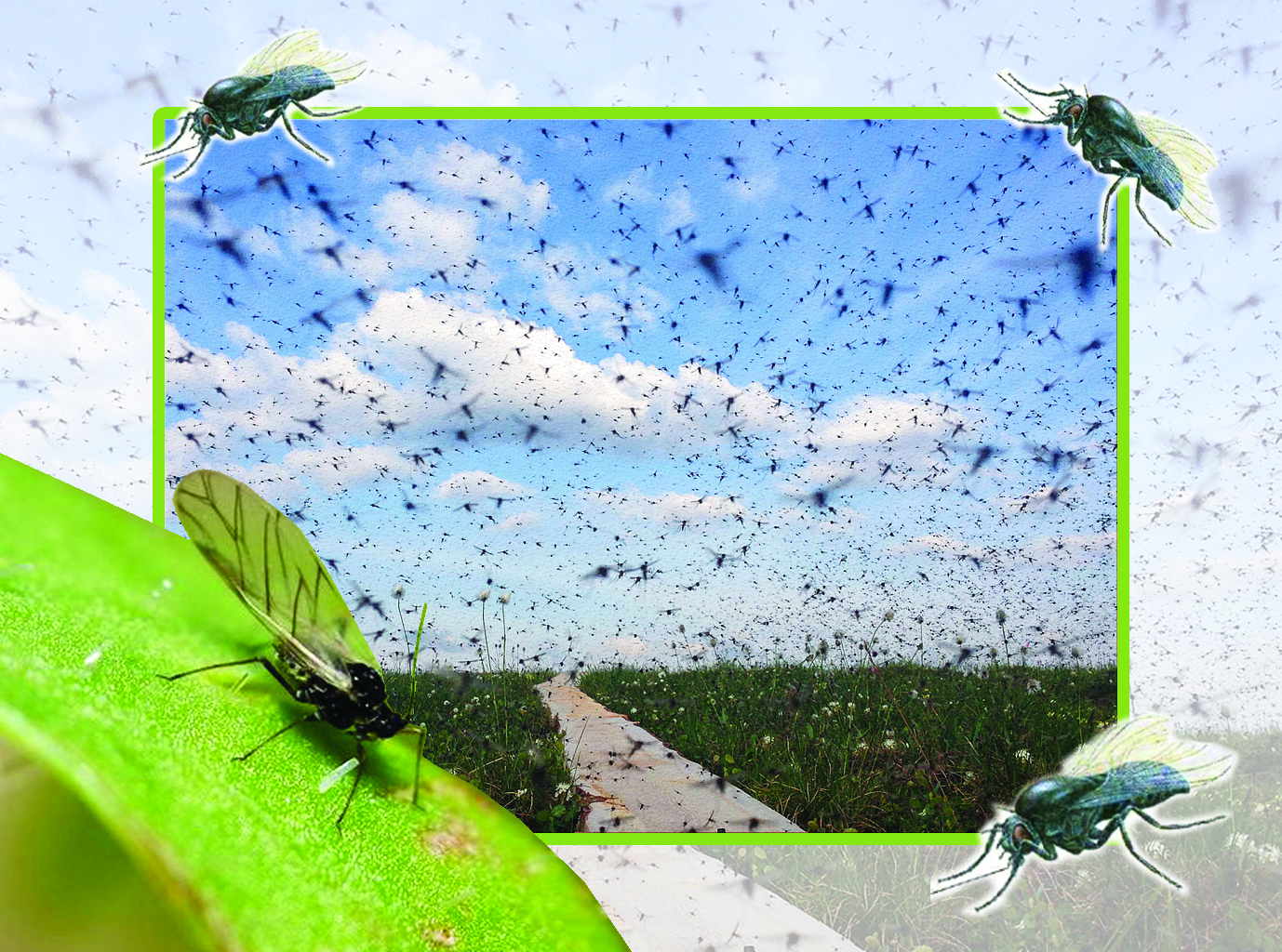 Ол бөлген кезде оның кискасын жалап жатқанын қараңыз