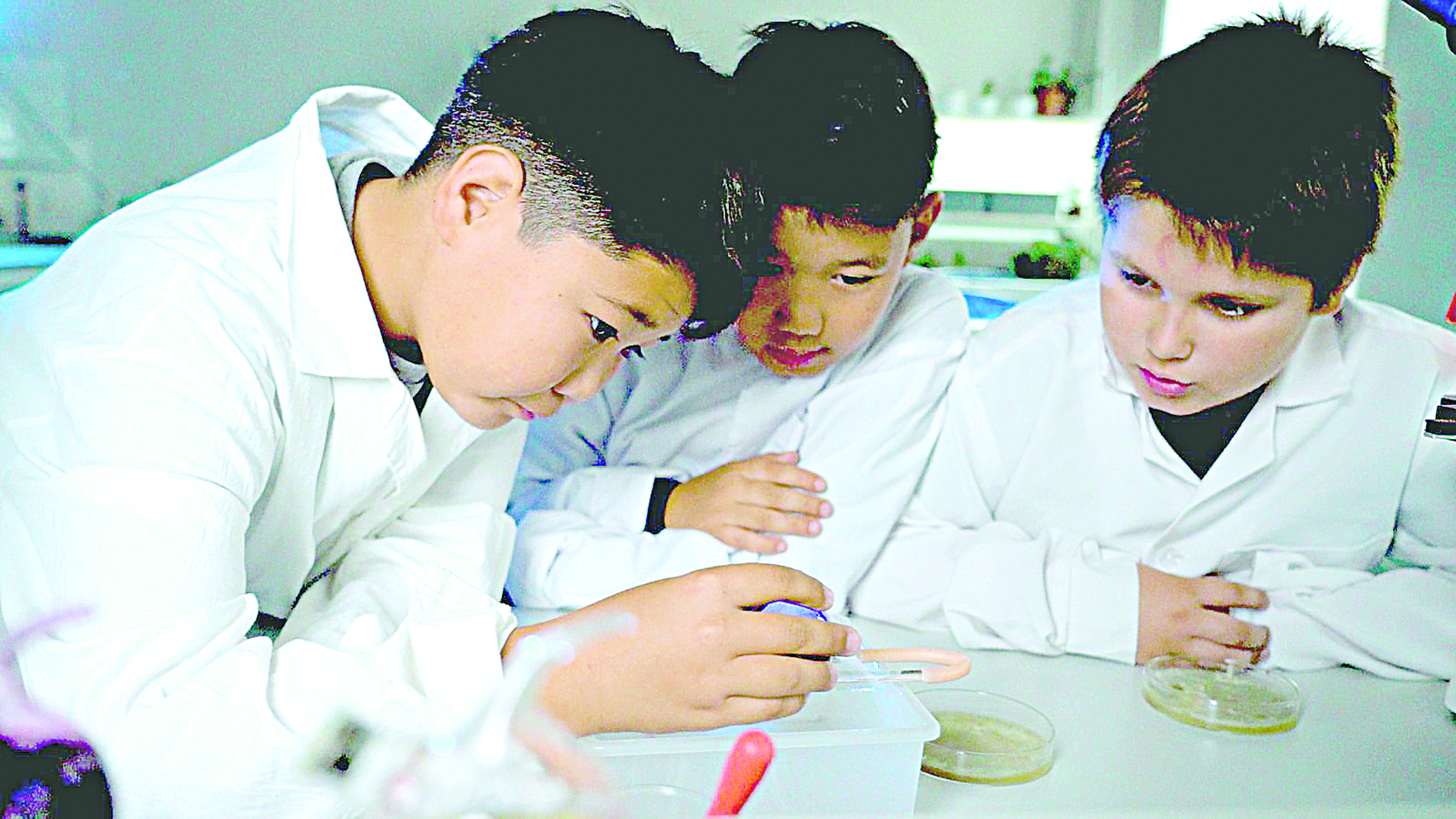 Болашаққа бастар баспалдақ