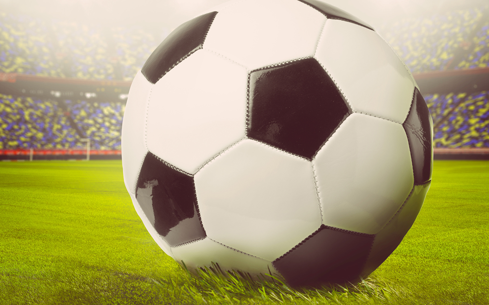 Покажи футбол мяч. Мяч "футбол". Спорт футбол мяч. Спортивные мячи футбола. Мяч (спорт).