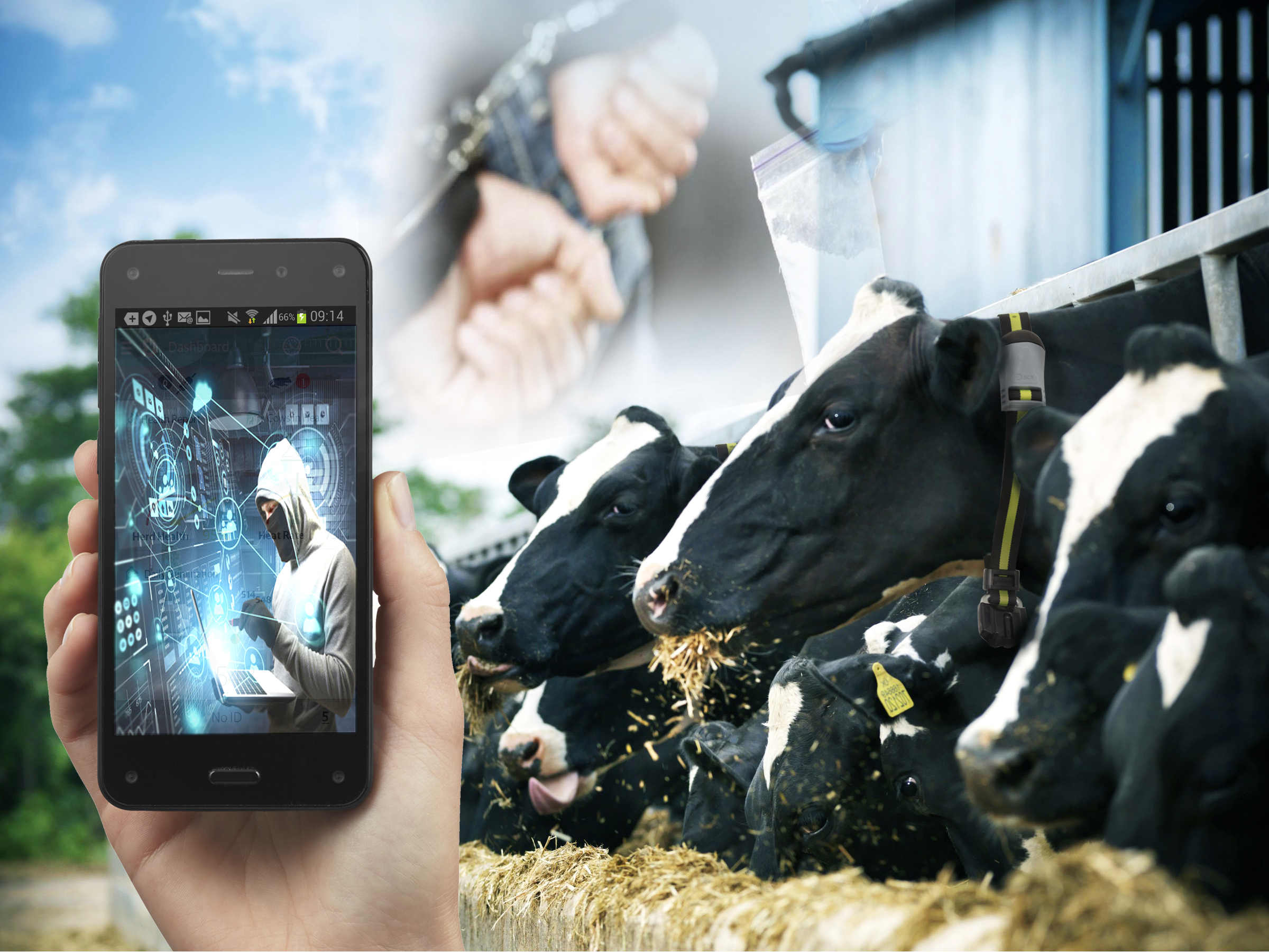 Айла-шарғымен шырмайтын алаяқтар