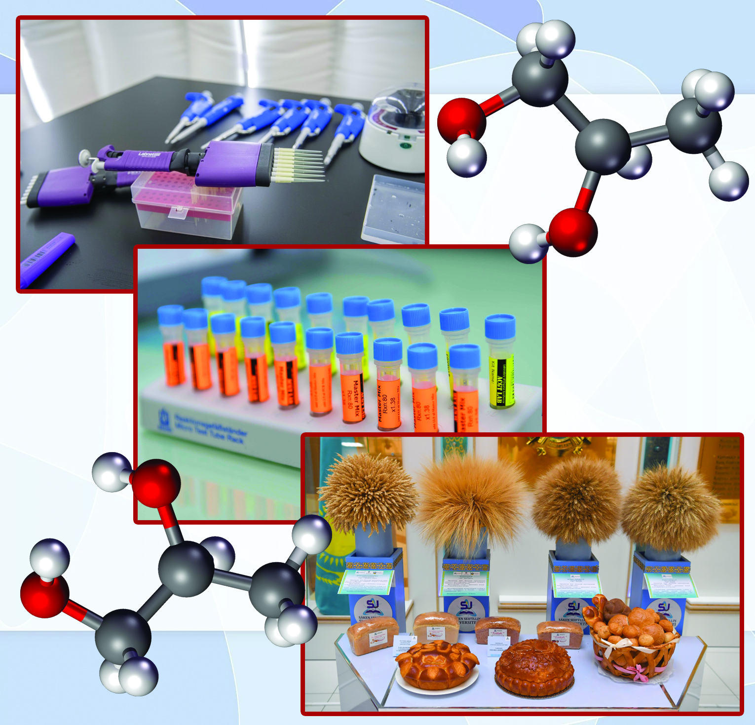Жүйелі іс жүйесін табады