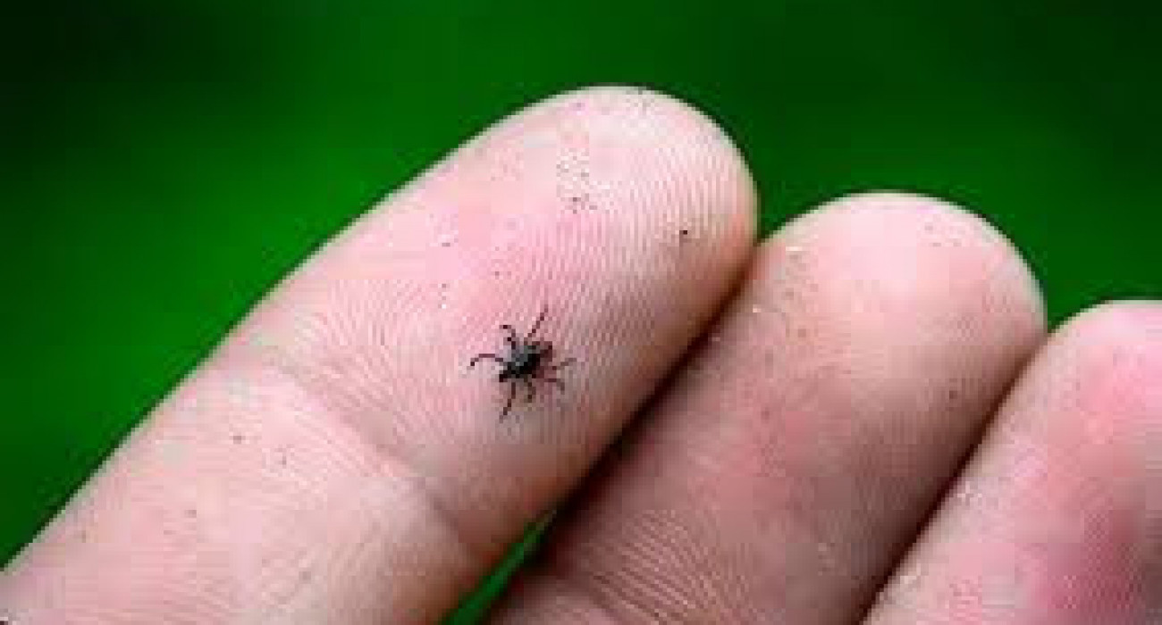 Ретро порно фильмдер жеке Үлкен сиськи бар жасырын камера нудистері