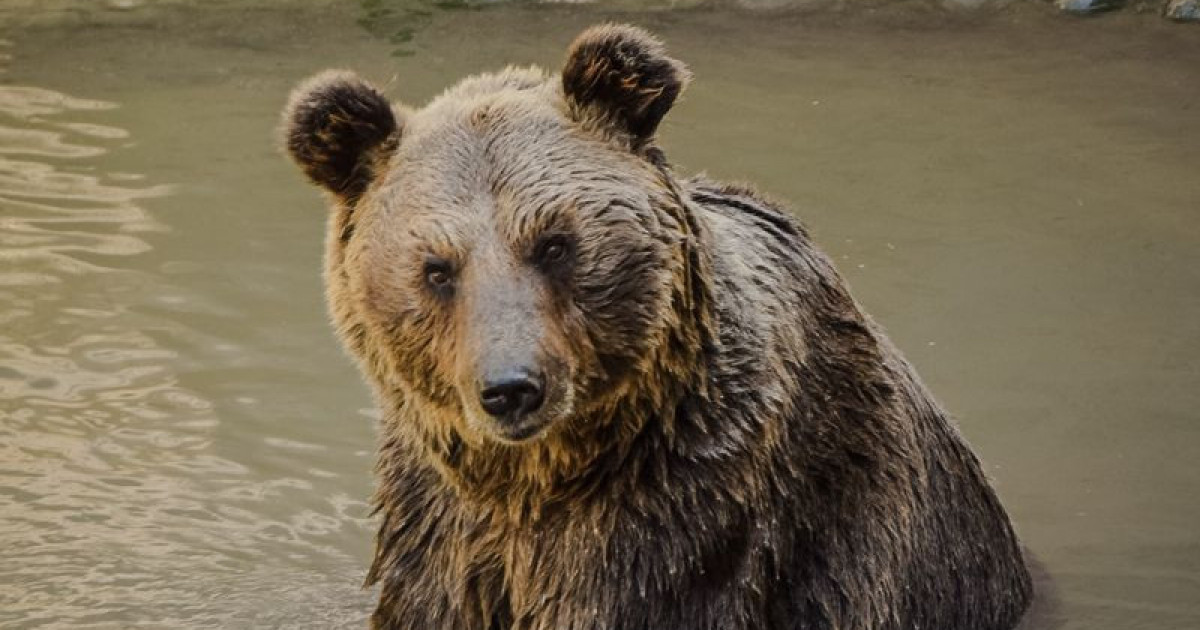Жасырын камераға түсіп қалған