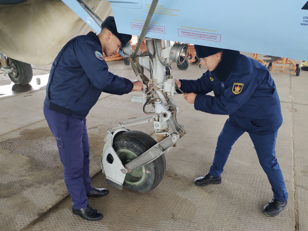 Еңбегі еленген егіздер