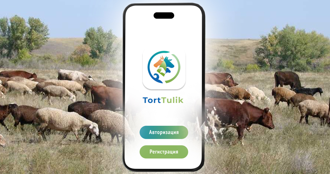 «TortTulik» – мал баққандардың мобильді қосымшасы