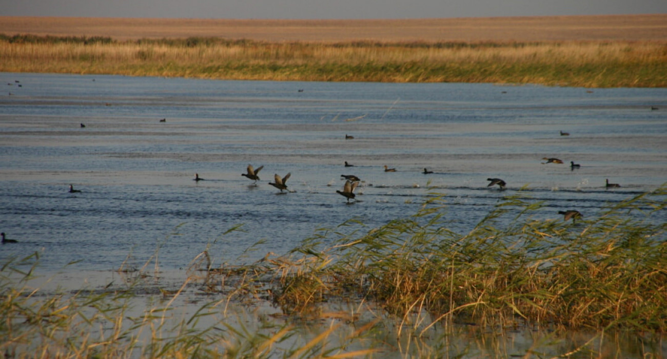 Мен жыныстық қатынасқа түстім, бірақ ол видеоны қаламайды. Түрмедегі лесбиянки порно онлайн видео