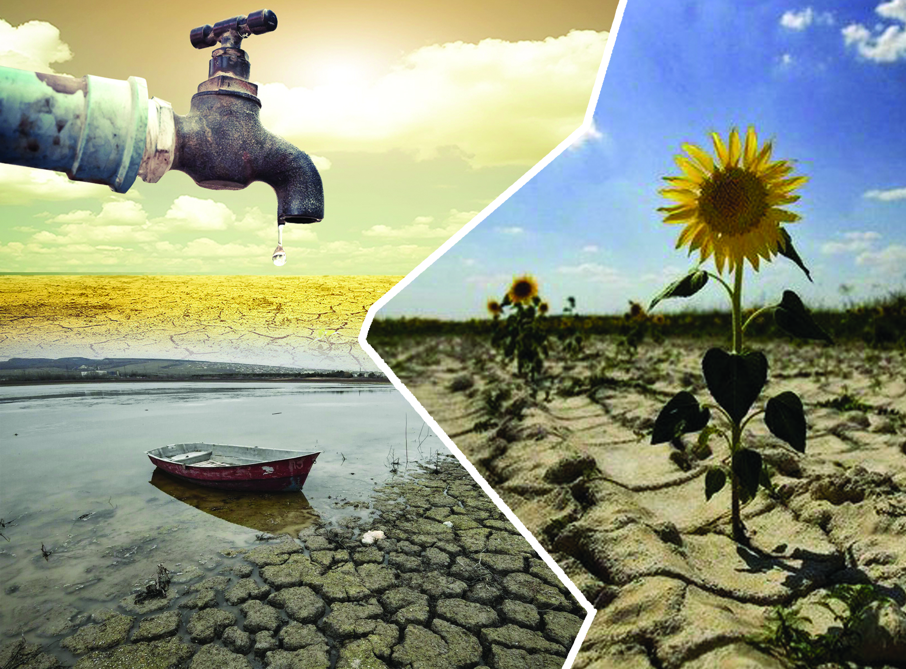 Мемлекет негізі – жер мен су