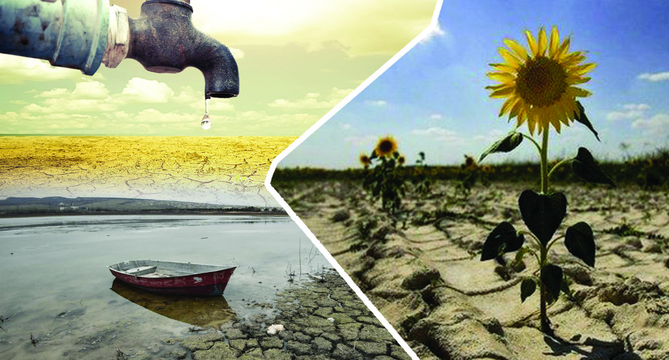 Мені жағажайдан шығардым