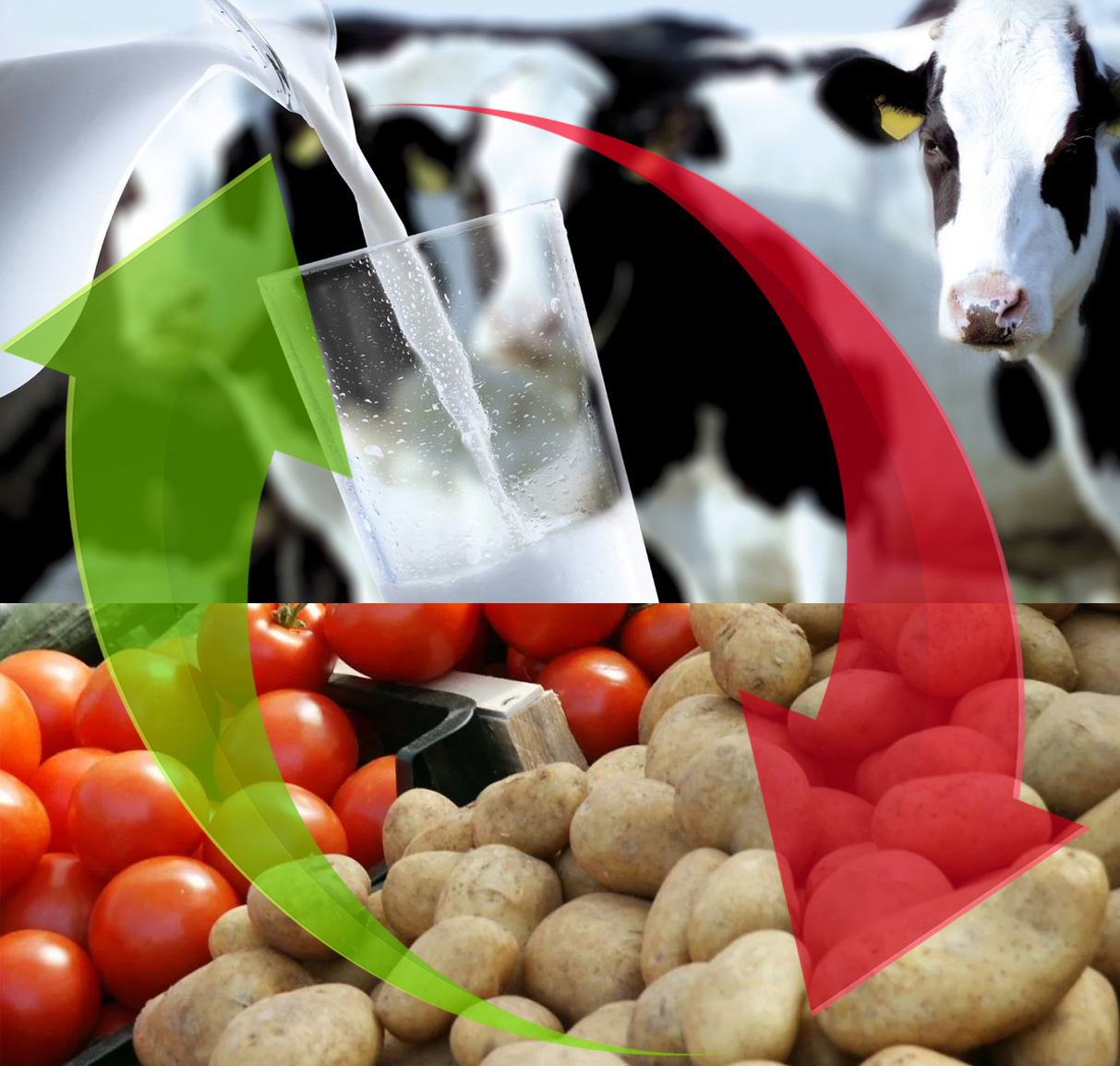 Өзімізді қамтамасыз етудің өзектілігі