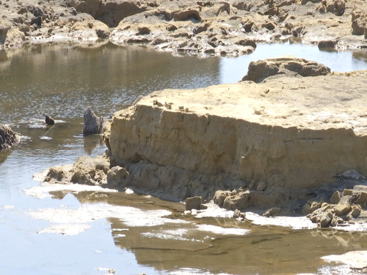 Көмірден төнген қауіп