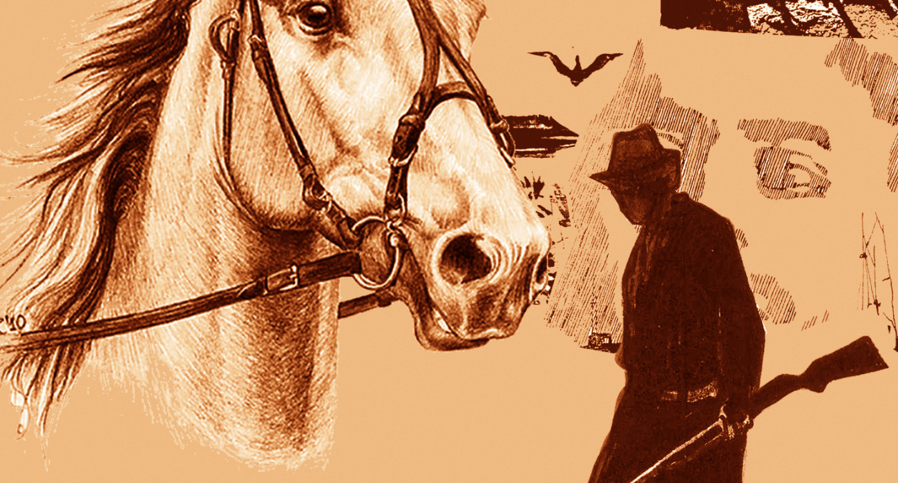 Жалаңаш фото шашты шашты жақсы көреді