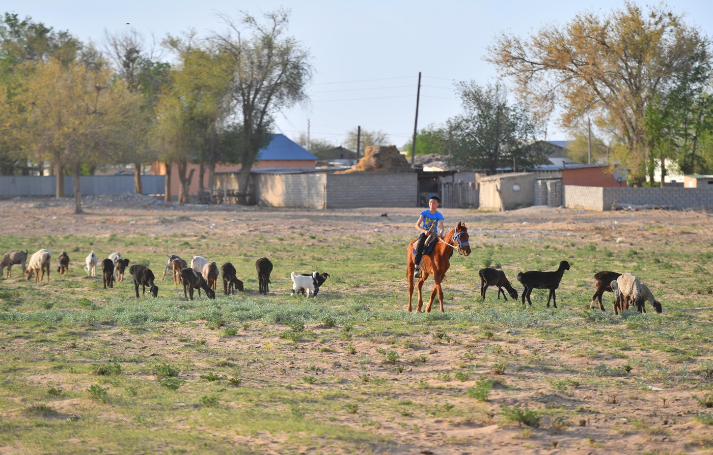 Ауыл-аймақты дамытудың тиімді  жолы қайсы?