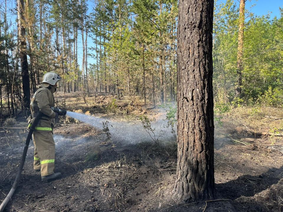Тілсіз жау толық тізгінделді ме?