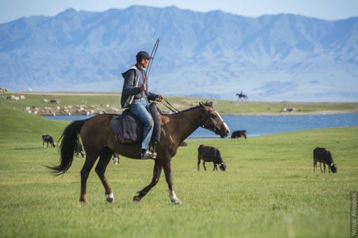 Малшы мерейі – ауыл абыройы