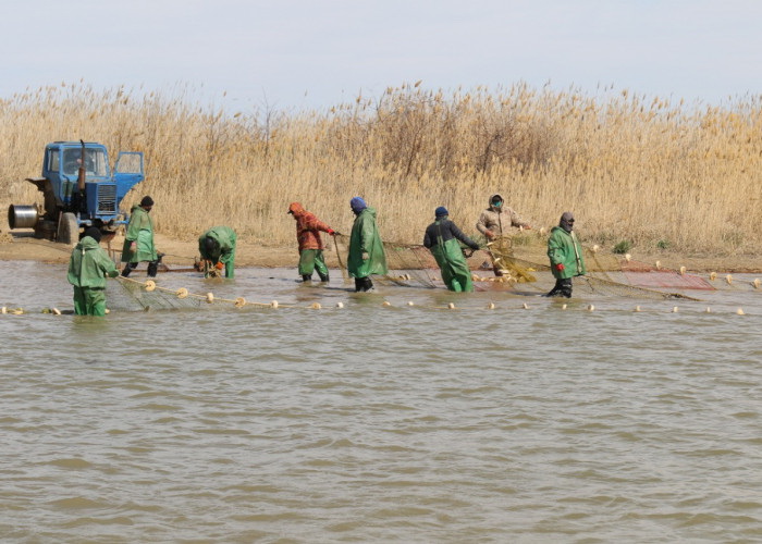 Балық шаруашылығындағы бетбұрыс