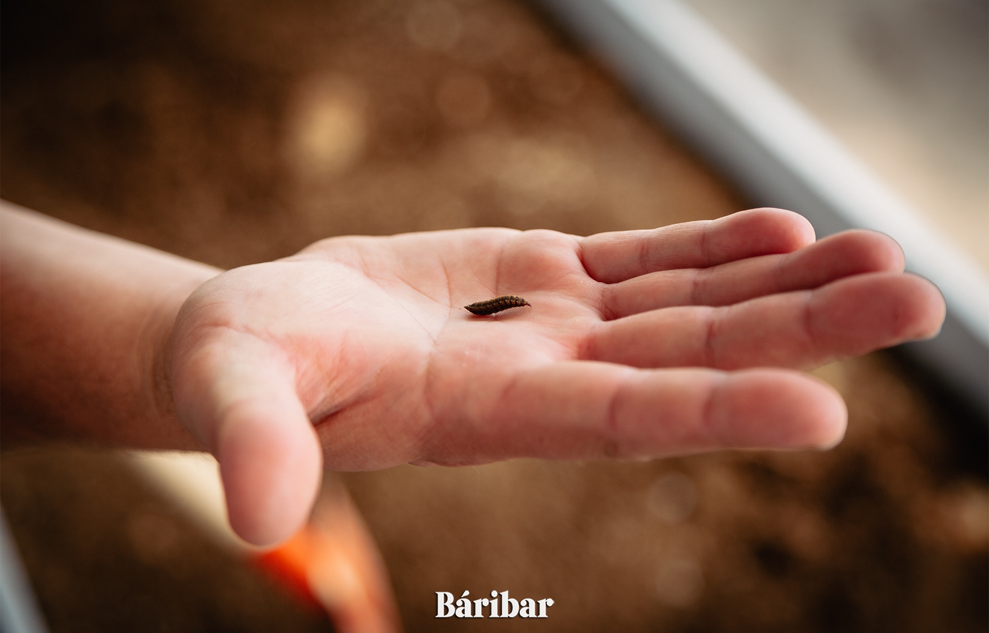 Органикалық қалдықты өңдейтін әдіс