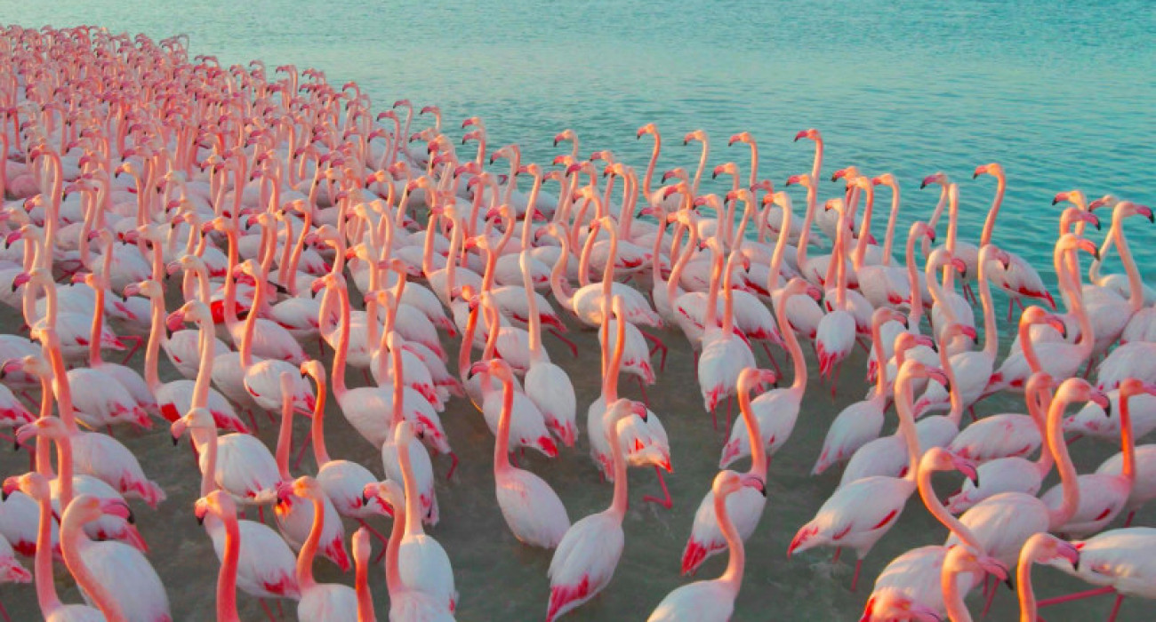 Порно фильмдер Ресей Египет 6