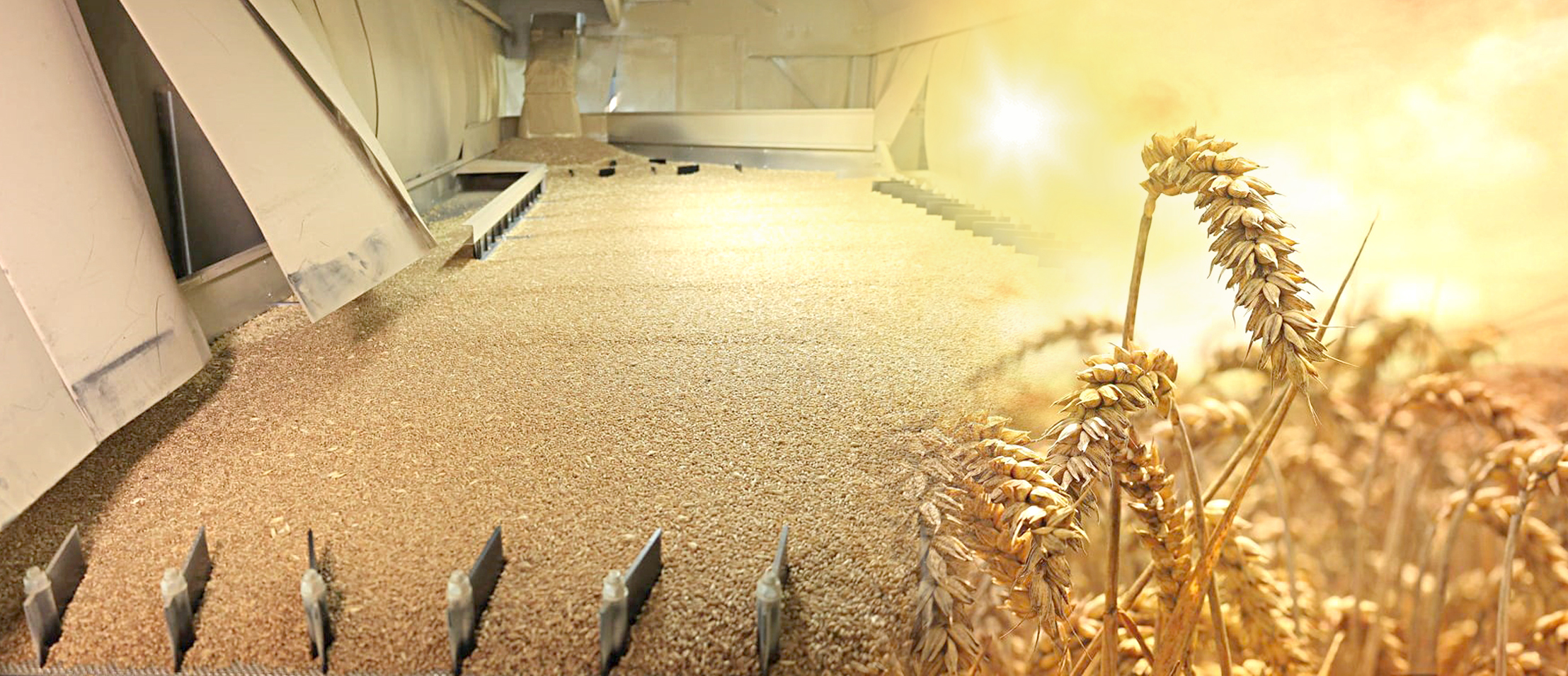 Бидай бағасы алаңдатады