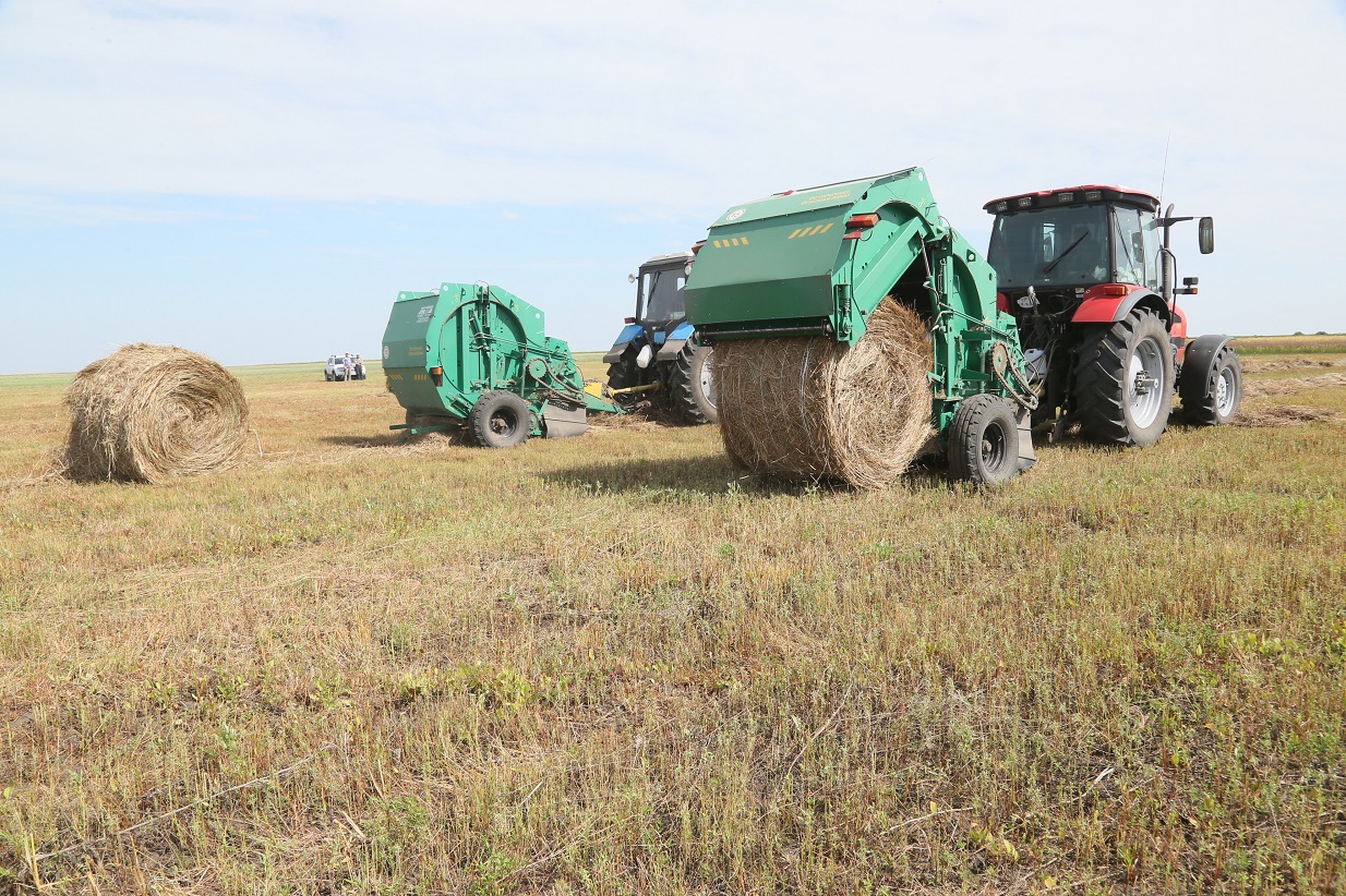 Шабындыққа шалғы кеш салынды