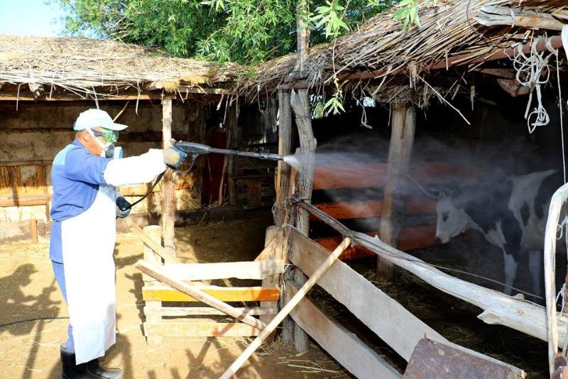 Кенеден келер қауіп көп