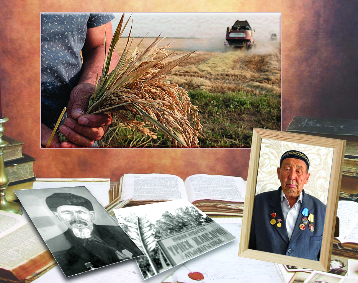 Ісі дара еңбек адамы