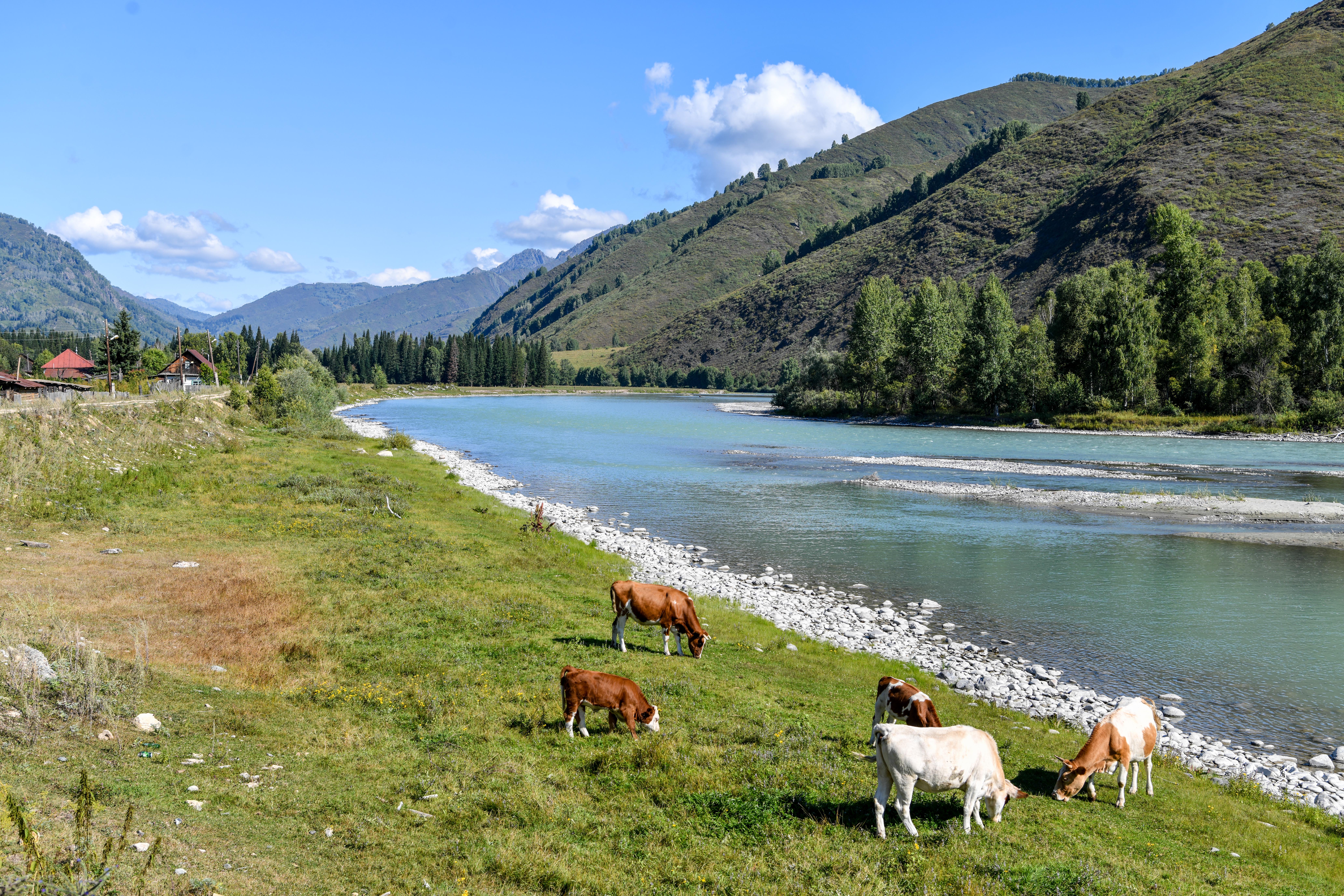 Жайылым тапшылығы шешіле бастады