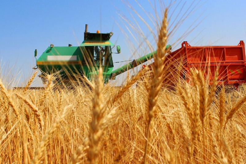 Агрокешен: Айлық аз, маман тапшы