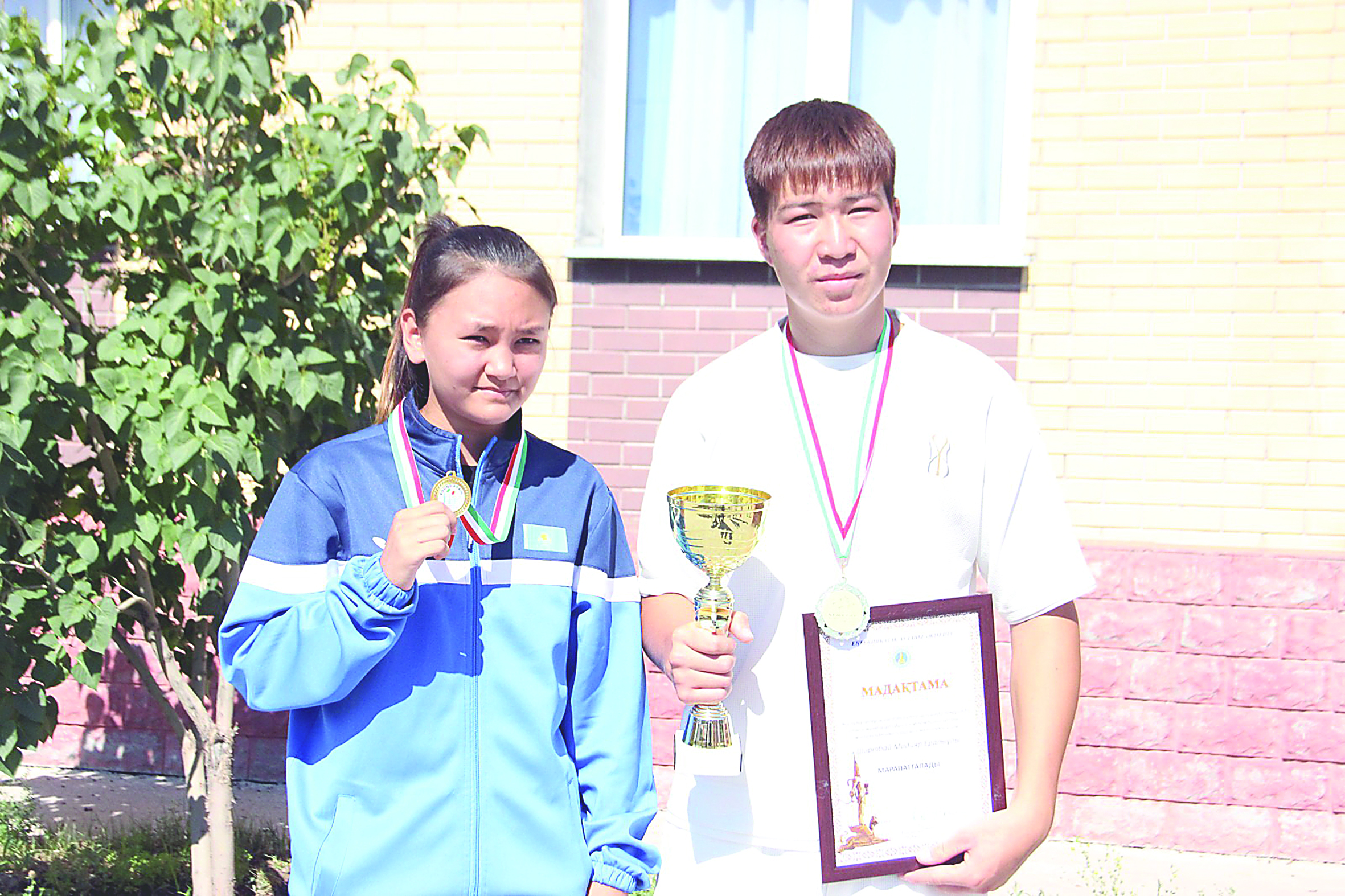 Жасөспірімдер жетістігі