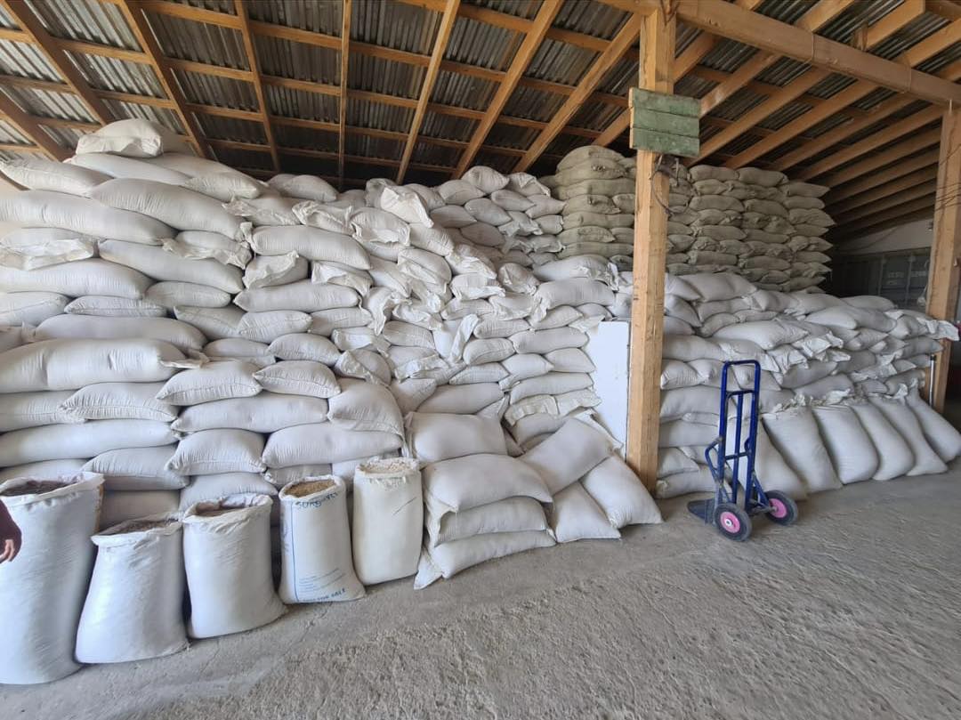 Құрамажем өндіруді қолға алды