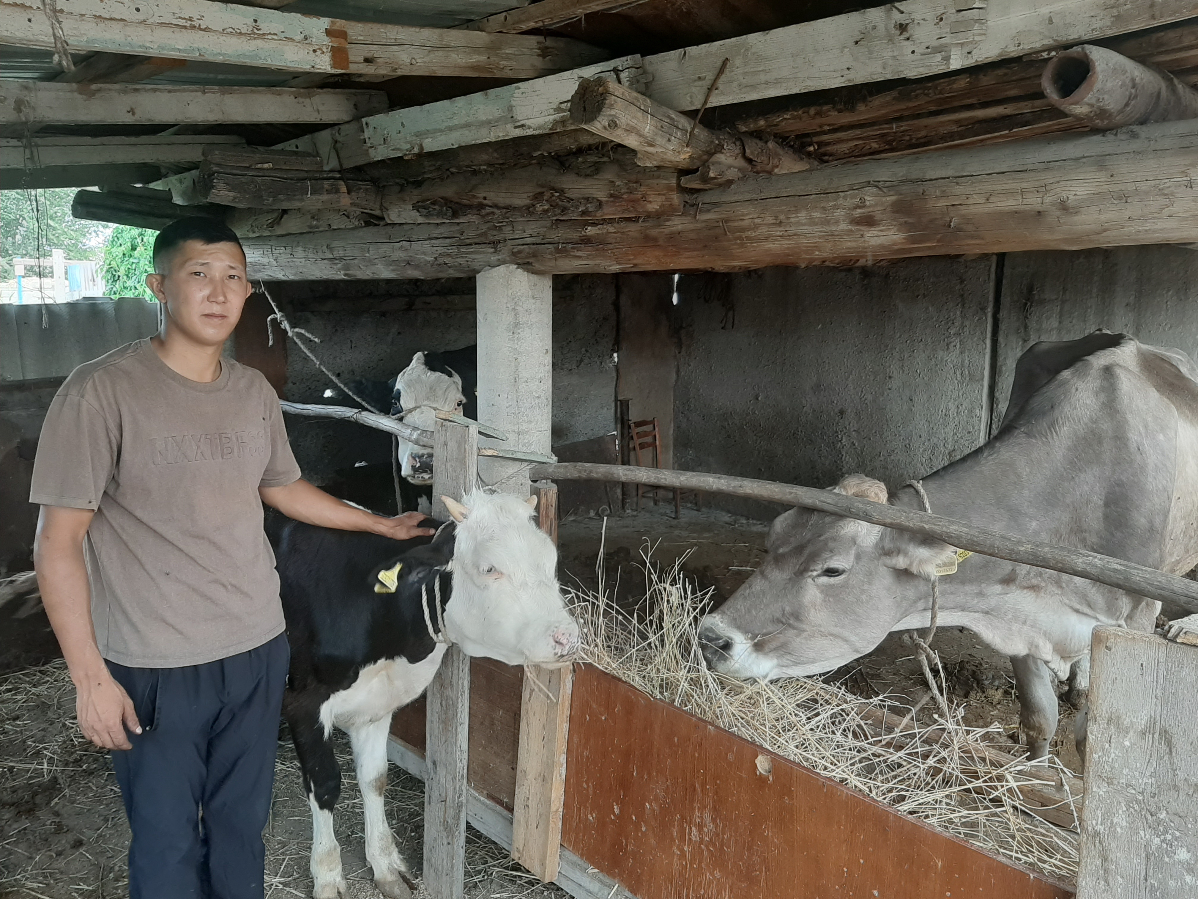 Есектегі орыс тобыр