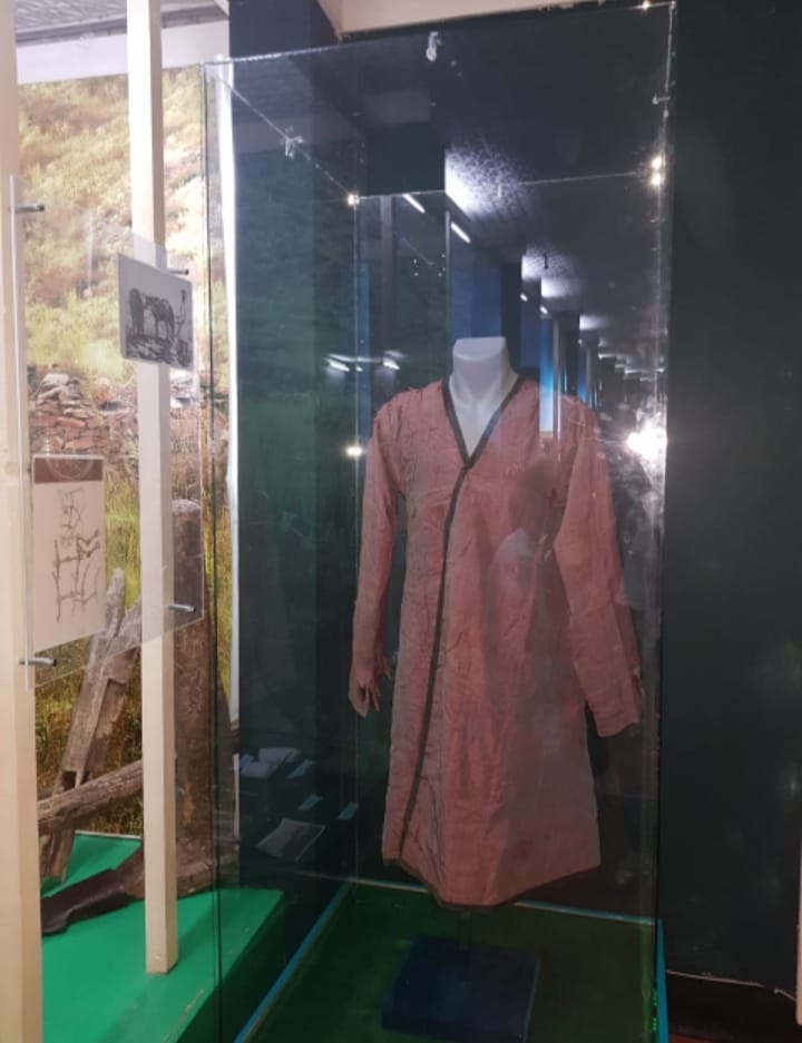 Тана мырзаның шапаны