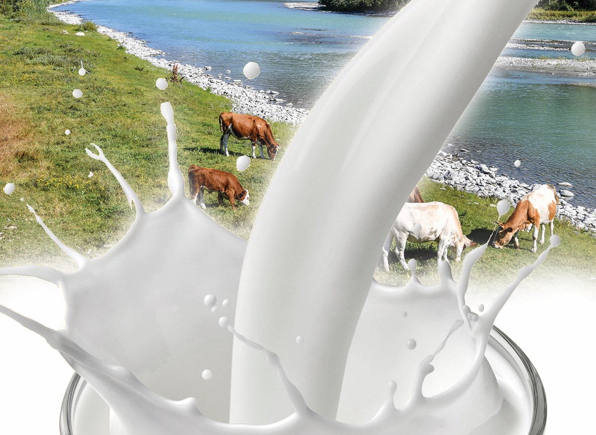 Тамақ өнеркәсібін инвестициялау маңызды