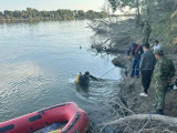 Түркістан облысында бір әулеттен 11 адам суға батып кетті