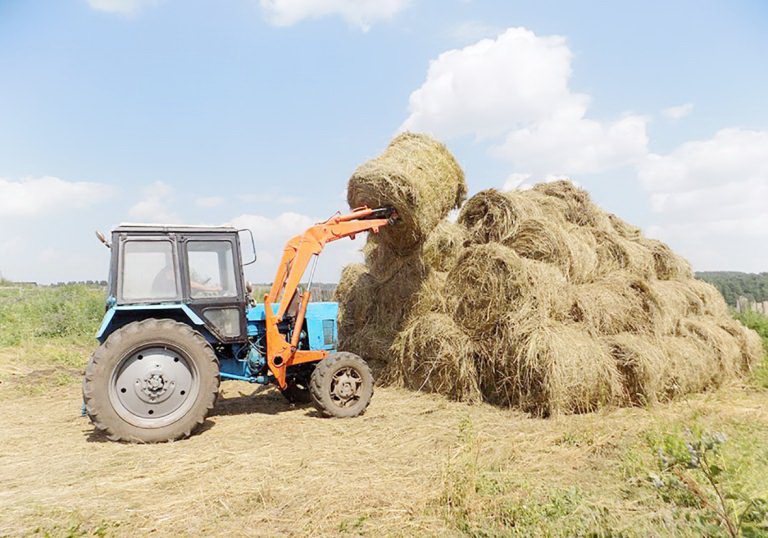 Шабындықтағы шаруа жайы