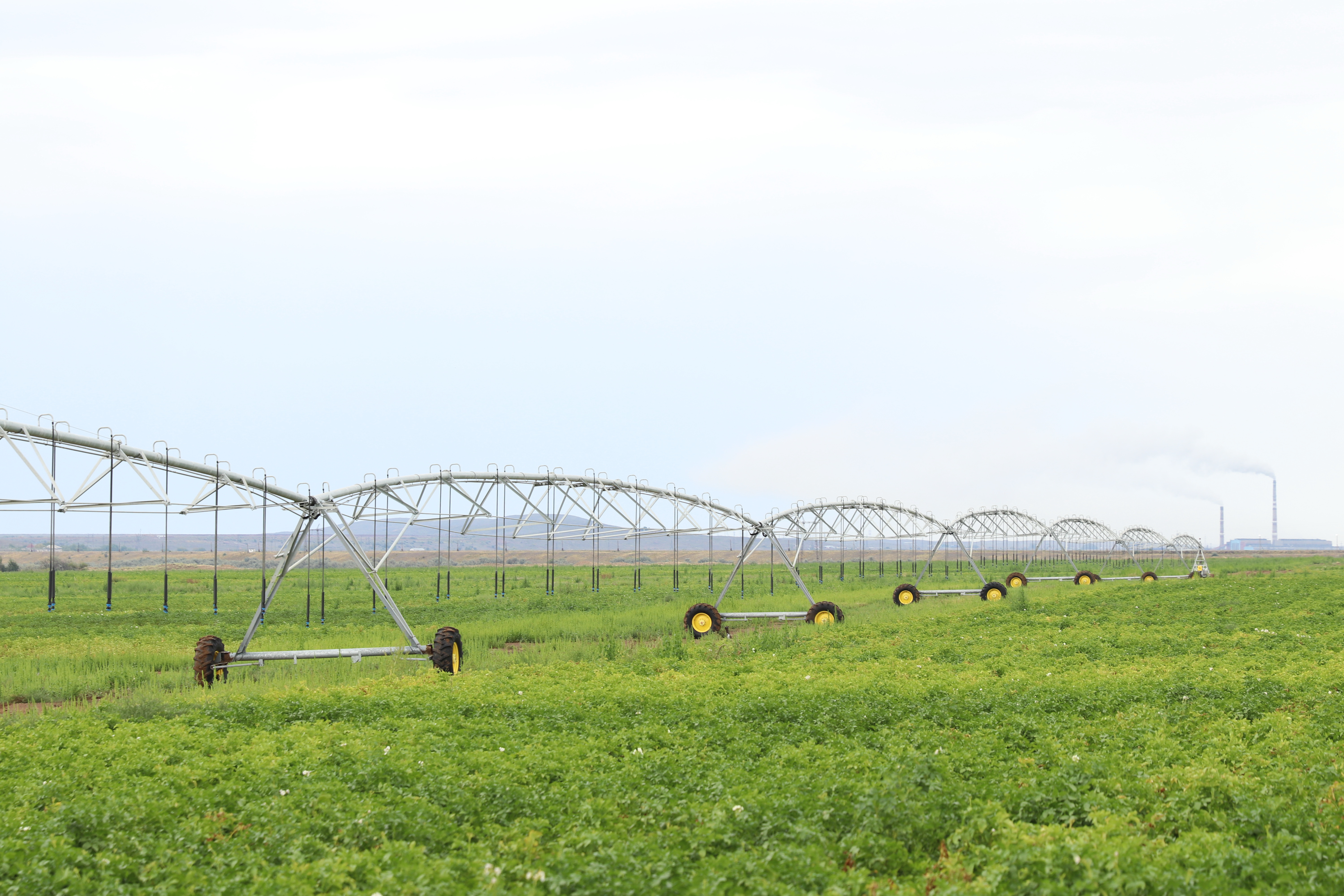 Суармалы алқап көлемі ұлғаяды