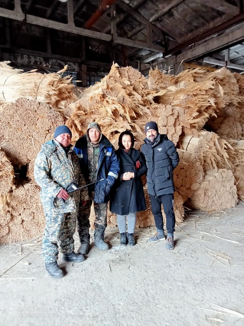 Қамыстан табыс тапқан